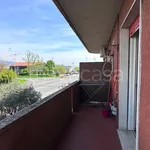 Rent 1 bedroom apartment of 40 m² in Borgosatollo