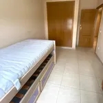 Rent 5 bedroom apartment in Castelló de la Plana