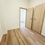 Pronajměte si 2 ložnic/e byt o rozloze 34 m² v Pilsen