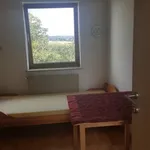 Rent 1 bedroom apartment of 12 m² in Weiz