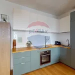 Rent 2 bedroom apartment of 45 m² in Milano