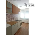 Rent 1 bedroom apartment in Ostrava