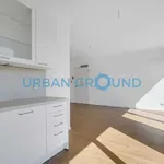 Rent 1 bedroom apartment in berlin