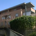 Rent 1 bedroom apartment of 20 m² in Roma