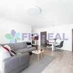 Rent 1 bedroom apartment of 71 m² in Prague