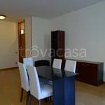 Rent 3 bedroom apartment of 90 m² in Segrate