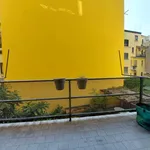 Rent 2 bedroom apartment of 43 m² in Milan