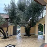 Rent 2 bedroom apartment of 50 m² in Perugia