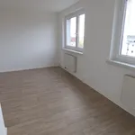 Miete 2 Schlafzimmer wohnung von 58 m² in Chemnitz