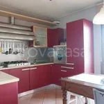 Rent 4 bedroom apartment of 100 m² in Colorno