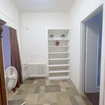 Rent 2 bedroom apartment of 60 m² in Prague