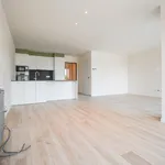 Huur 2 slaapkamer appartement van 92 m² in Gits