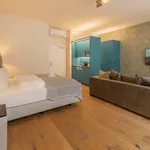 Rent 1 bedroom apartment of 46 m² in Frankfurt