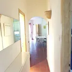 Rent 4 bedroom house of 80 m² in Arzachena