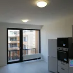 Rent 1 bedroom apartment of 29 m² in Pilsen