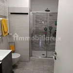 Rent 3 bedroom apartment of 110 m² in Trento