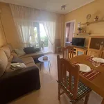 Alquilo 2 dormitorio apartamento de 65 m² en Torrevieja