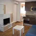 Rent 1 bedroom apartment of 55 m² in Zaragoza