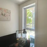 Rent 4 bedroom apartment in Quebec