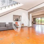 Single family villa via delle Ginestre , 12, Castagnole - Due Santi, Marino