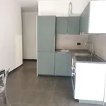 Rent 1 bedroom apartment of 50 m² in milan