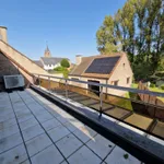 Rent 3 bedroom house in Bambrugge