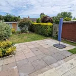 Rent 3 bedroom house in Leicester