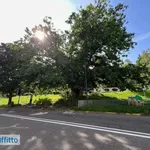 Rent 3 bedroom apartment of 84 m² in Turin