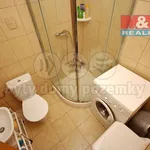 Rent 3 bedroom apartment of 88 m² in Praha