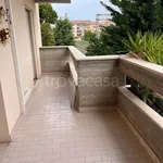 Rent 2 bedroom apartment of 60 m² in Silvi