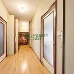 Rent 1 bedroom apartment of 25 m² in Turin