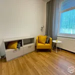 Rent 1 bedroom apartment in Brno