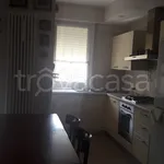 Rent 2 bedroom apartment of 60 m² in Colorno