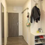 Rent 4 bedroom apartment in Ústí nad Labem