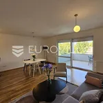 Rent 1 bedroom apartment of 60 m² in Zagreb