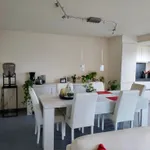 Huur 2 slaapkamer appartement in Zingem