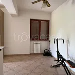 Rent 3 bedroom apartment of 80 m² in Itri