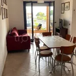 Rent 3 bedroom apartment of 60 m² in Giulianova