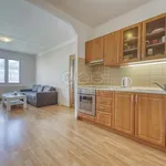 Rent 2 bedroom apartment of 47 m² in Pilsen