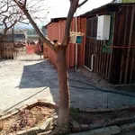 Rent 1 bedroom apartment in Pretoria