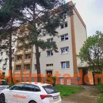 Rent 4 bedroom apartment of 67 m² in Havířov