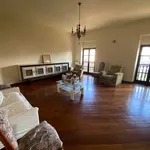 Rent 5 bedroom apartment of 162 m² in Piacenza