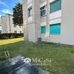 Rent 3 bedroom apartment of 45 m² in Pisa