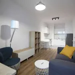 Rent 3 bedroom apartment in warsaw