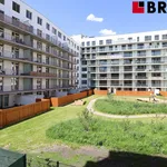 Rent 1 bedroom apartment of 27 m² in Brno