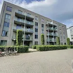 Rent 3 bedroom apartment in Hasselt