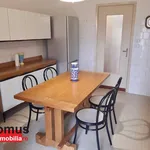 Rent 4 bedroom apartment of 100 m² in ferrara