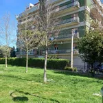 Rent 2 bedroom apartment of 50 m² in Pescara