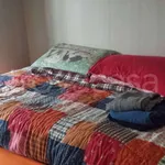 Rent 1 bedroom apartment of 38 m² in Assago