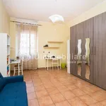 Rent 3 bedroom apartment of 85 m² in Turin